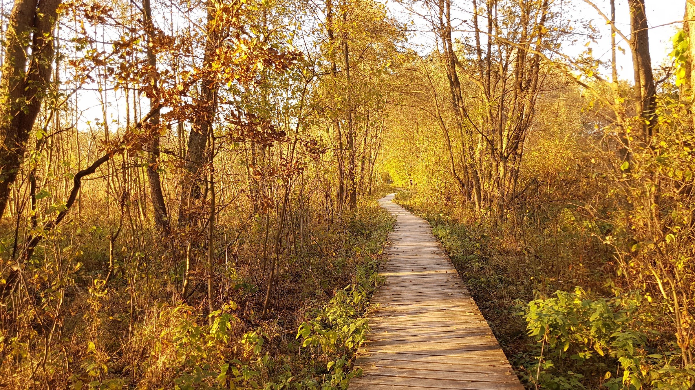 Kampinos National Park